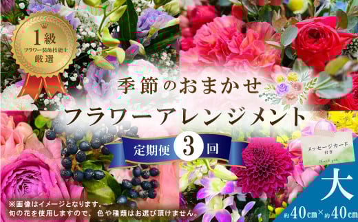 R6-941.【3回定期便】<1級フラワー装飾技能士が厳選>季節のおまかせフラワーアレンジメント【生花】(大)