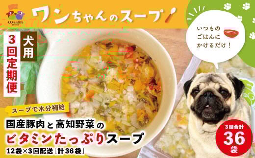 R6-430.【3回定期便】いつものごはんにかけるだけ!国産豚肉と高知野菜のビタミンたっぷりスープ 12袋セット×3回配送(合計36袋)【ペットフード】