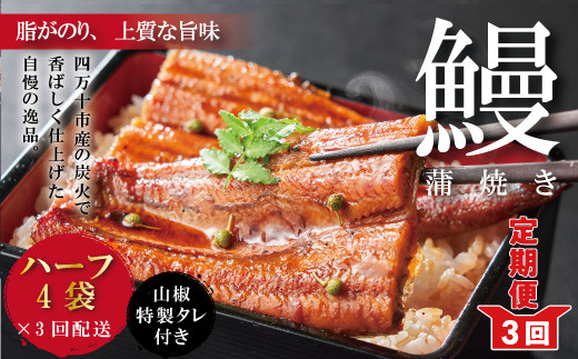 R6-632.【3回定期便】<四万十食品>うなぎ蒲焼 ハーフ4袋/BC【連続3回お届け】