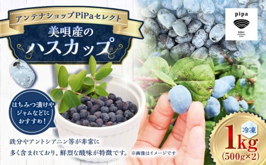 アンテナショップPiPaセレクト 美唄産のハスカップ1.0kg（500g×2）