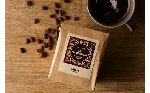 自家焙煎コーヒー豆 100g | 珈琲 珈琲豆 お試し ギフト スペシャリティ 焙煎