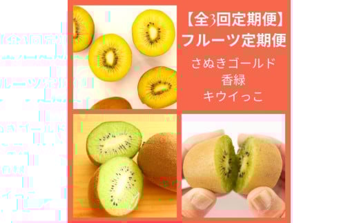 【全3回フルーツ定期便】さぬき讃フルーツさぬきゴールドと香緑とさぬきキウイっこ【D-16】