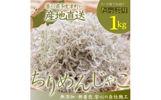 瀬戸内香川県産 ちりめん 1kg【A-133】