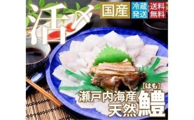 鱧骨切りしゃぶしゃぶ用(2人前)【予約受付中!令和7年7月頃より!天然物につき捕れ次第発送!】【A-4】