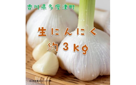 多度津町産　生にんにく（予約受付中！令和8年5月上旬頃から発送）【B-22】