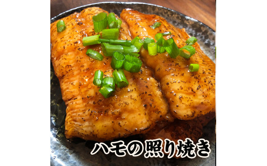 鱧の照り焼き(100g×15切れ)【冷凍】【C-14】