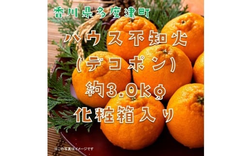 不知火（デコポン）ハウス栽培 約3kg【予約受付中！令和7年12月下旬頃～】【B-32】