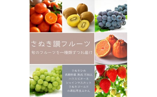 【フルーツ定期便】さぬき讃フルーツ6種類 旬のフルーツを1種類ずつお届け【G-4】