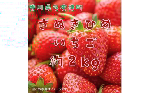 香川県オリジナル品種 さぬきひめいちご 約2kgパック【令和8年2月中旬頃より発送】【B-50】