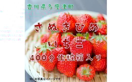 さぬきひめいちご 約400g化粧箱入り(12～18粒)【予約受付中：令和7年12月より発送】【L-39】