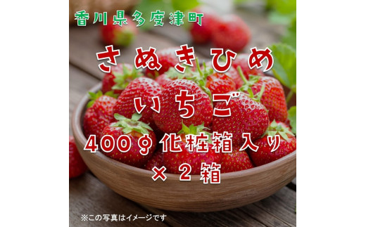 香川県オリジナル品種 さぬきひめいちご 約400g化粧箱入り(12～18粒)×2箱【令和8年2月中旬頃より発送】【B-49】