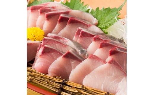 オリーブはまち１本まるごと【予約受付：令和7年10月中旬頃から出荷開始！】【C-311】