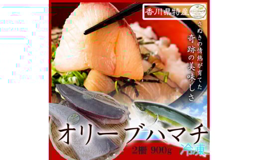 オリーブハマチ　冷凍　柵２本【A-105】