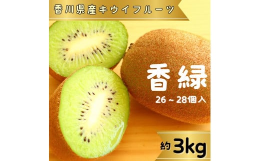 香緑(キウイフルーツ)3.0kg 26～28個【予約受付中！令和7年11月中旬頃より発送！】【A-112】