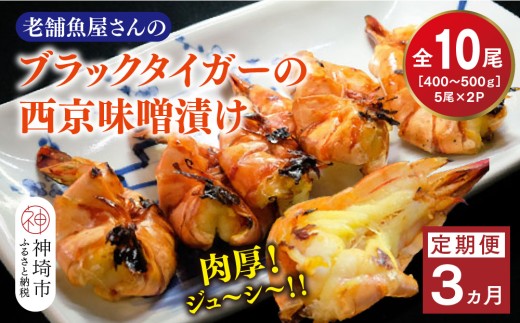 【3カ月定期便】ブラックタイガーの西京味噌漬け 5尾×2パック×3回【海老 味噌漬け 焼くだけ 簡単調理 エビ料理 おつまみ おかず バーベキュー お弁当】(H032142)