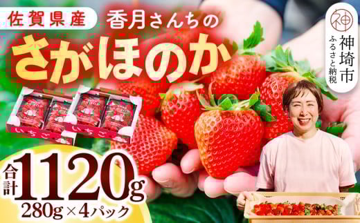 【先行受付 令和8年1月より発送開始】香月さんちのいちご(さがほのか)280g×4パック 【いちご イチゴ 苺 さがほのか 大玉 大粒フルーツ 果物  数量限定 香月農園 佐賀県産】(H017116)