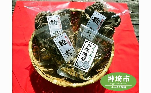 せふり特選椎茸セット 【せふり 干ししいたけ 原木】(H044122)