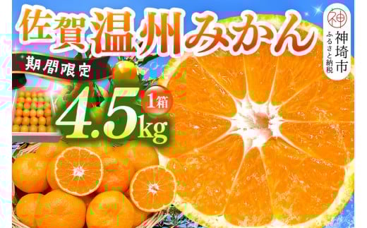 【令和7年11月下旬より発送】佐賀温州みかん(1箱 4.5kg)【フルーツ 佐賀 佐賀県産 早生みかん 温州みかん ギフト 贈答 プレゼント】 (H072107)