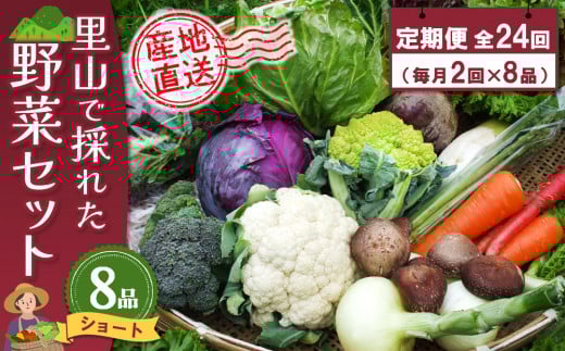 年間定期便24回 里山で採れた野菜セットショート 8品 【有機野菜 おまかせ野菜セット イタリア野菜 西洋野菜 定期便】(H078138)