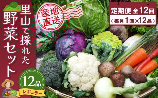 年間定期便12回 里山で採れた野菜セットレギュラー 12品 【有機野菜 おまかせ野菜セット イタリア野菜 西洋野菜 定期便】(H078139)
