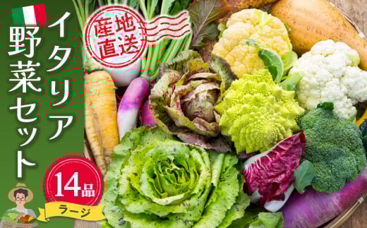 イタリア野菜セットラージ 14品 【有機野菜 おまかせ野菜セット イタリア野菜 西洋野菜】(H078133)