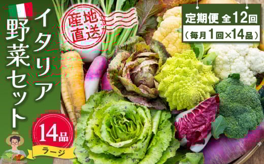年間定期便12回 イタリア野菜セットラージ 14品 【有機野菜 おまかせ野菜セット イタリア野菜 西洋野菜 定期便】(H078134)
