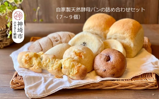 自家製天然酵母パンの詰め合わせセット[パンと器のコネル] [パンと器のコネル 全粒粉 もっちりベーグル 国産小麦 パン 自家製 天然酵母 玄米麹 朝食 おやつ](H094112)