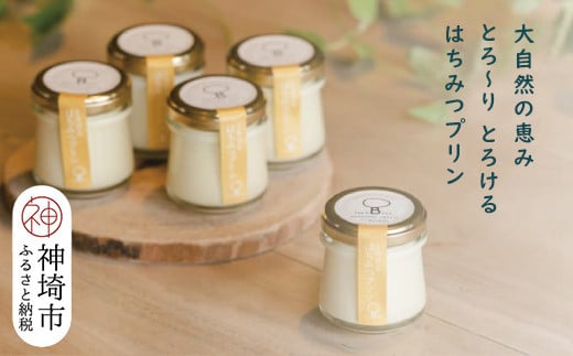 えこびと農園のとろけるはちみつプリン 5個セット [スイーツ プリン プリン県佐賀 プリンマップ 生はちみつ 佐賀県産はちみつ はちみつプリン α-リノレン酸 おすすめ 手作り 無添加 美味しい](H037140)