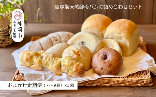 【定期便3回】自家製天然酵母パンの詰め合わせセット【パンと器のコネル】 【パンと器のコネル 全粒粉 もっちりベーグル 国産小麦 パン 自家製 天然酵母 玄米麹 朝食 おやつ】(H094117)