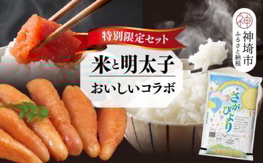 【2回定期便】特別限定セット さがびよりと明太子 おいしいコラボ【米 ブランド米 辛子明太子 たらこ ご飯のお供】(H996P118)