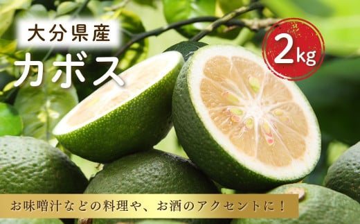 大分県産カボス 2kg 8月〜9月発送