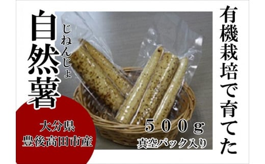 【先行予約】有機栽培で育てた自然薯 500g （真空パック）