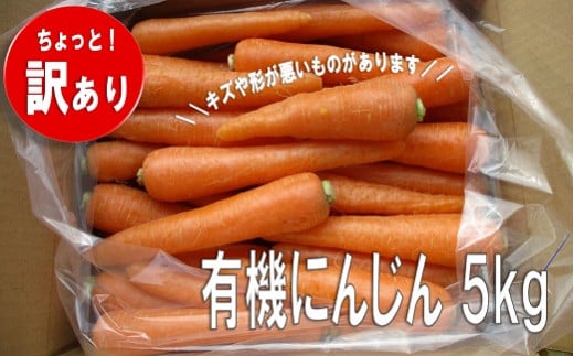 先行予約 【訳あり】有機にんじん 5kg