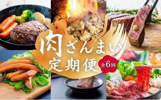 [6ヶ月定期便]牛肉 焼肉 ステーキ スライス 鶏肉 ウインナー ハンバーグ 食べ比べ