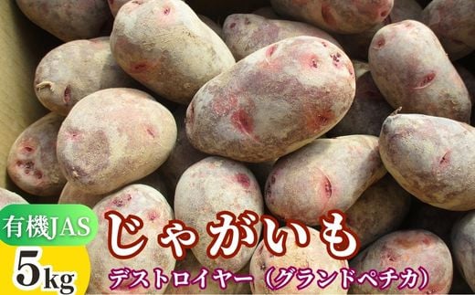先行予約 有機JASじゃがいも 5kg (グランドペチカ/デストロイヤー) 【畑直送】