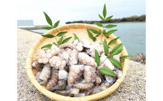 岬だこブツ切り200g×3パック食べきりサイズ！