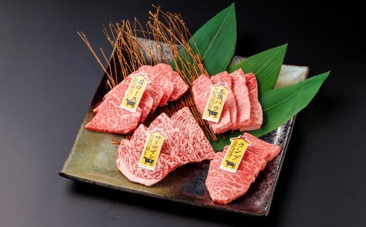 【A5】鳥取和牛焼肉食べ比べセット 400g