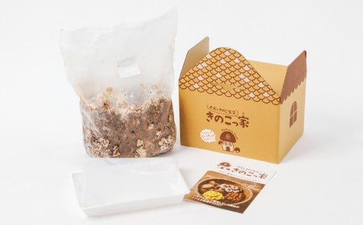 おうちで楽しむ しいたけ栽培キット きのこっ家【きのこ しいたけ 栽培 キット 菌床  1個】