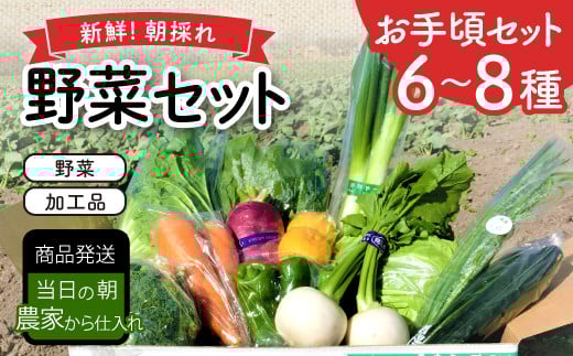 新鮮朝採れ野菜 お手頃セット【 新鮮野菜 6~8種類 季節 旬 野菜 果物 詰め合せ 国産 おまかせ ミニセット 葉物 根菜 冷蔵 野菜室 加工品 鳥取県産 季節限定 山菜 加工品】