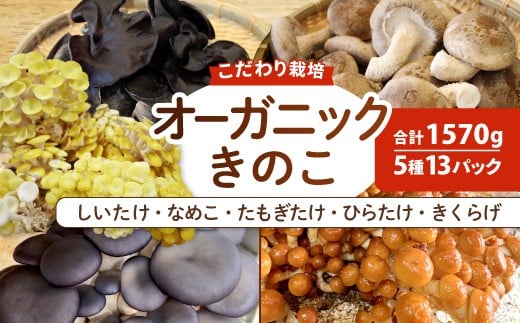 オーガニックきのこバラエティセット約1.5kg(5種13パック入)【きのこ セット しいたけ きくらげ ひらたけ なめこ キノコ 詰め合わせ 鳥取県産】