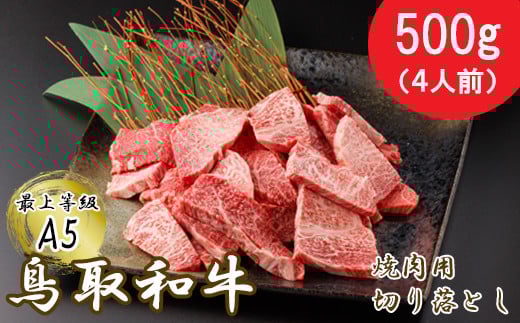 【A5】鳥取和牛ふぞろい焼肉切り落とし 500g
