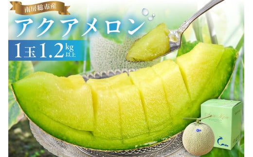 [通常発送]南房総市産アクアメロン(マスクメロン)1個 mi0018-0001[メロン 青肉 ギフト 贈答 プレゼント フルーツ 果物]