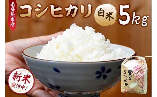 [2025年9月10日以降発送予定][令和7年産]南房総市産コシヒカリ白米5kg mi0018-0012 [お米 精米 ごはん こしひかり おにぎり ブランド米 国産米]