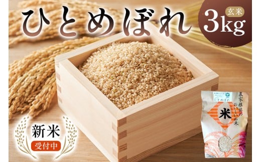[2025年9月中旬以降発送予定]ひとめぼれ玄米3kg[2025年産] mi0088-0004[お米 玄米 ごはん ひとめぼれ おにぎり ブランド米 国産米]