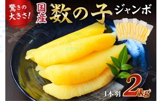 【先行受付：12月発送】国産　塩数の子ジャンボ(北海道産）　1本羽　2kg　小分け（500g×4袋） mi0012-0071-12 【数の子 ニシン ジャンボサイズ 海産物 魚卵 レシピ同封 お正月 おせち料理】