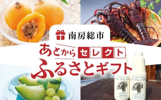 あとからセレクト【ふるさとギフト】30,000円 mi0000-0003 【ギフト チケット ギフトコード 交換 ポイント あとから】