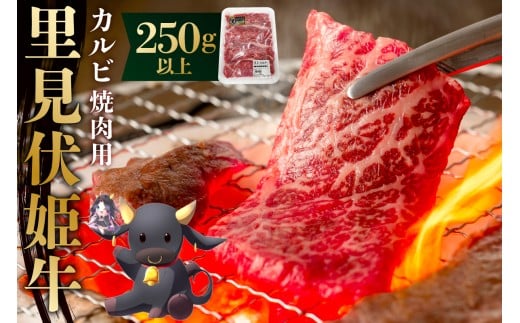 里見伏姫牛　カルビ焼肉用250g以上 mi0119-0001 【肉 食品 焼肉 BBQ バーベキュー 家族 ファミリー お取り寄せ グルメ】