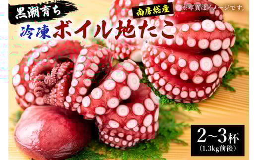 黒潮育ち　南房総産　冷凍ボイル地たこ mi0051-0009