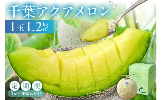 【定期便】【TVで紹介!】千葉アクアメロン1玉(1.2Kg)【3か月連続お届け】 mi0018-0004 メロン 青肉 ギフト 贈答 プレゼント フルーツ 果物