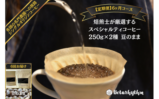 【定期便】スペシャルティコーヒー豆 焙煎士セレクト 250g×2種【豆】 6ヶ月 mi0043-0005 【コーヒー 焙煎士 浅煎り 深煎り 甘味 酸味 コク】